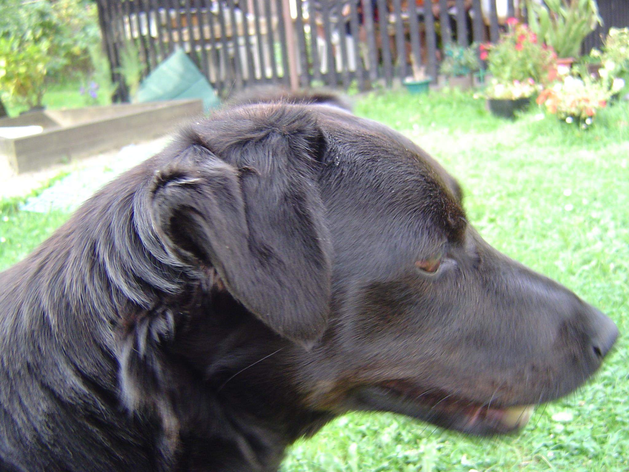 DSC08870.JPG